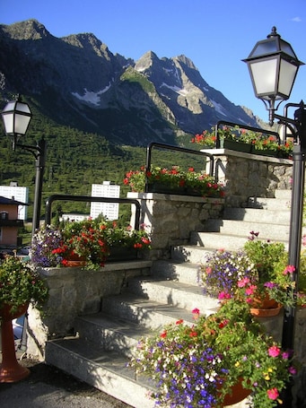 Parco della struttura. Hotel Orchidea