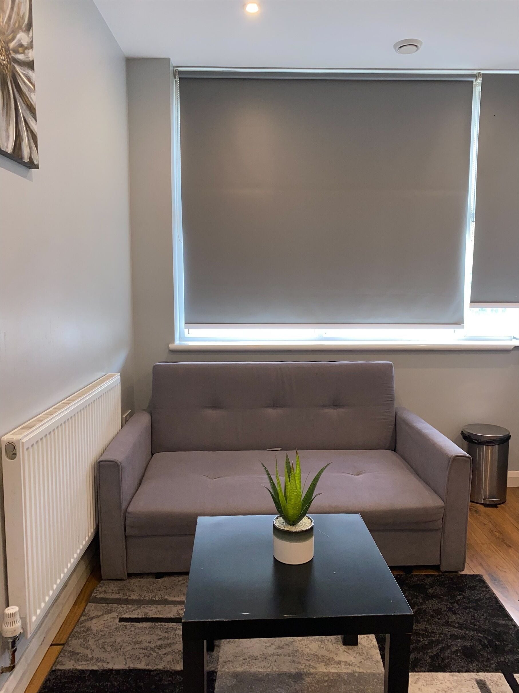 Een moderne woonkamer met een grijze bank, een zwarte salontafel en een potplant.