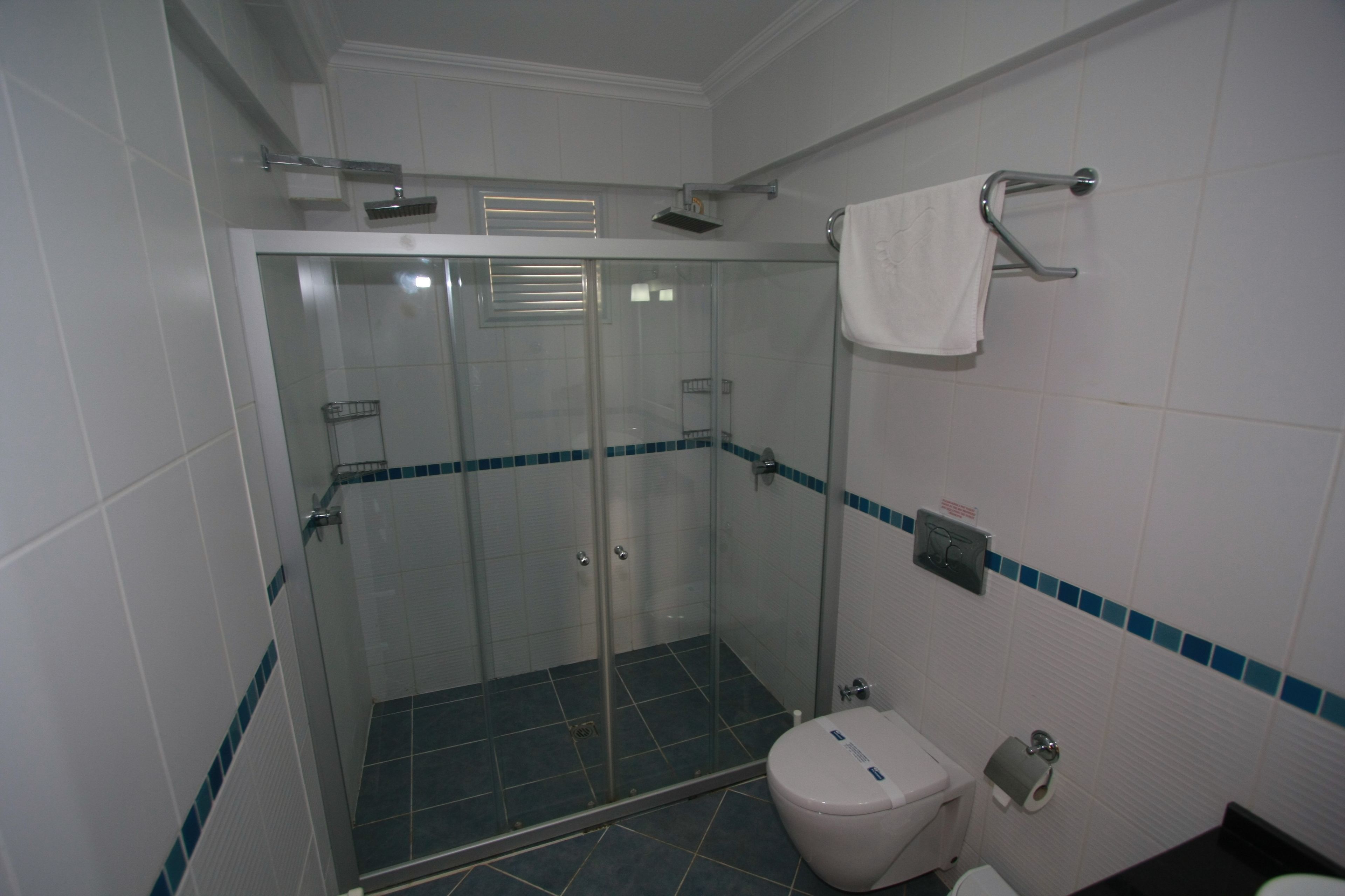 A bathroom with a glass-enclosed shower, a toilet, and a towel rack.