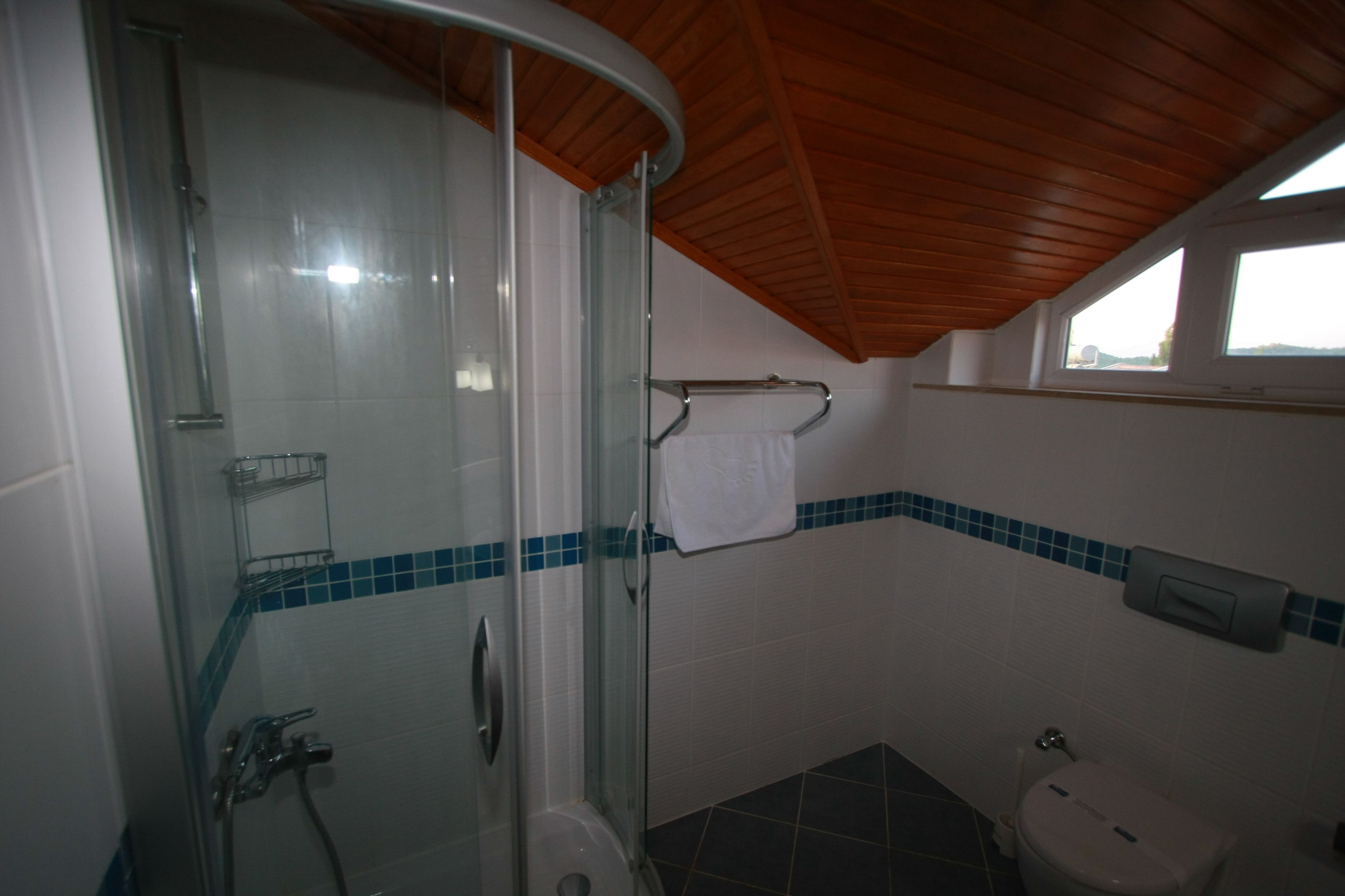 A bathroom with a glass-enclosed shower, a toilet, and a window.