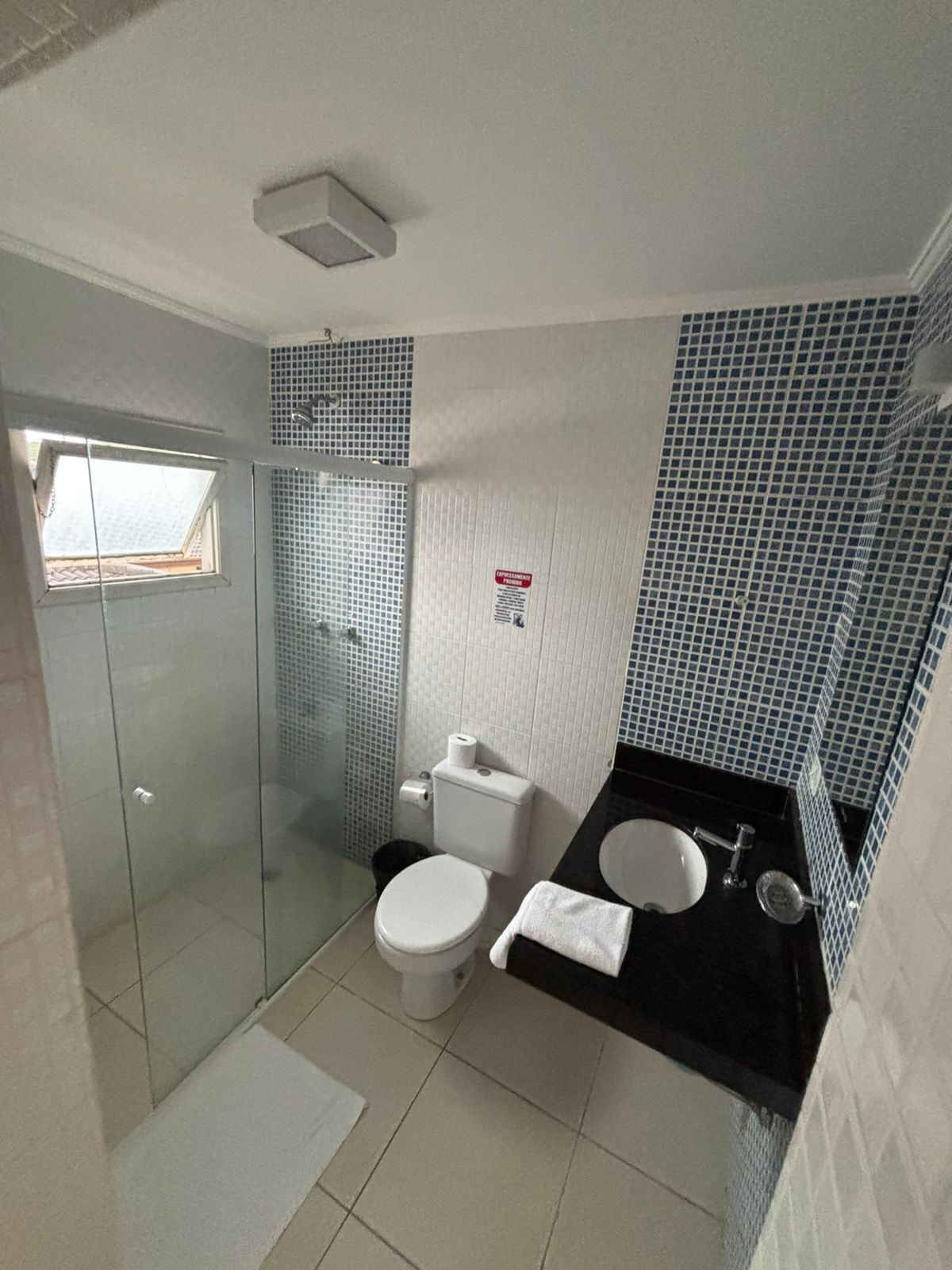 A bathroom with a glass shower enclosure, a toilet, and a sink with a mirror.