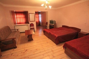 Iron/ironing board, free cribs/infant beds, rollaway beds, free WiFi