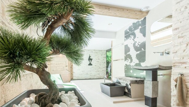 Une salle de bain moderne avec un grand arbre en pot, un lavabo et un miroir.