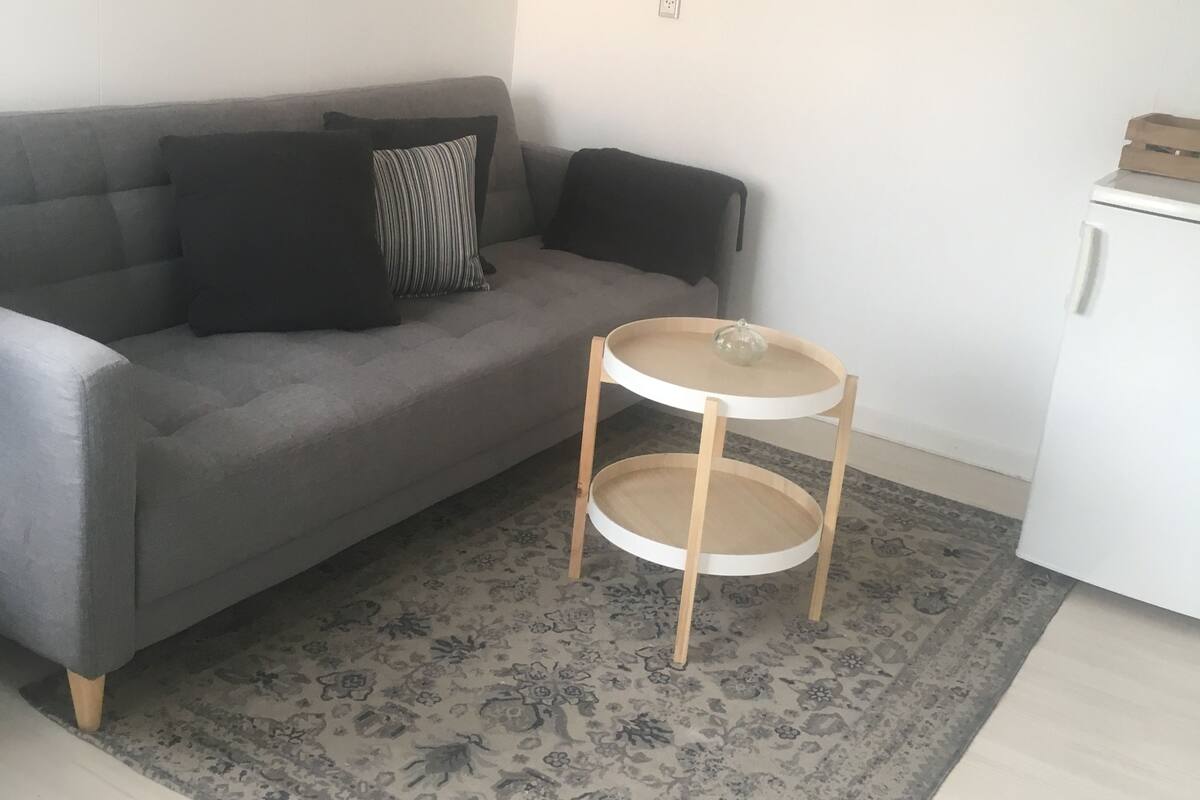 Un salon avec un canapé gris, un tapis à motifs, une petite table en bois et un meuble blanc.