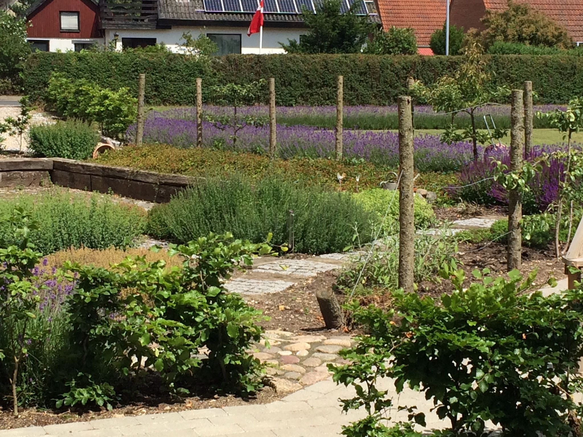 Un jardín con un sendero de piedra, diversas plantas y una bandera roja.