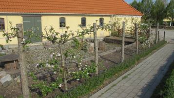 A yellow building with a red roof, a paved pathway, and flowering trees.