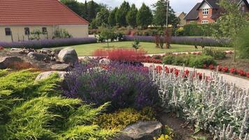 A landscaped garden with various plants and a pathway.