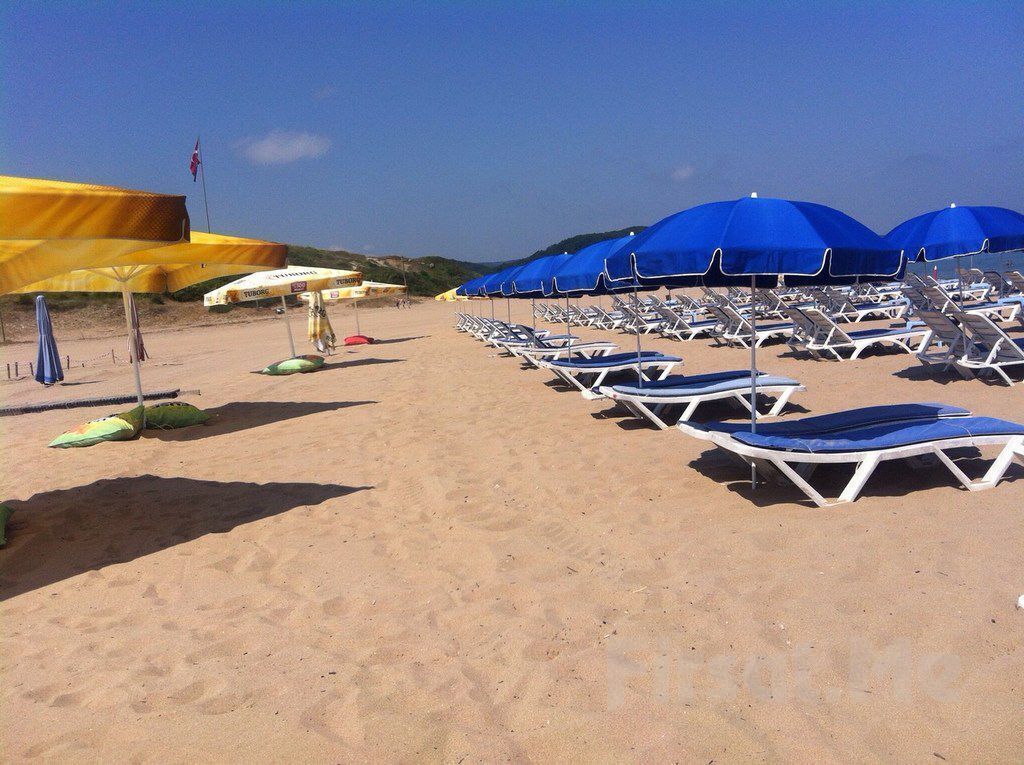 A beach with rows of sun loungers and umbrellas, some with flags.
