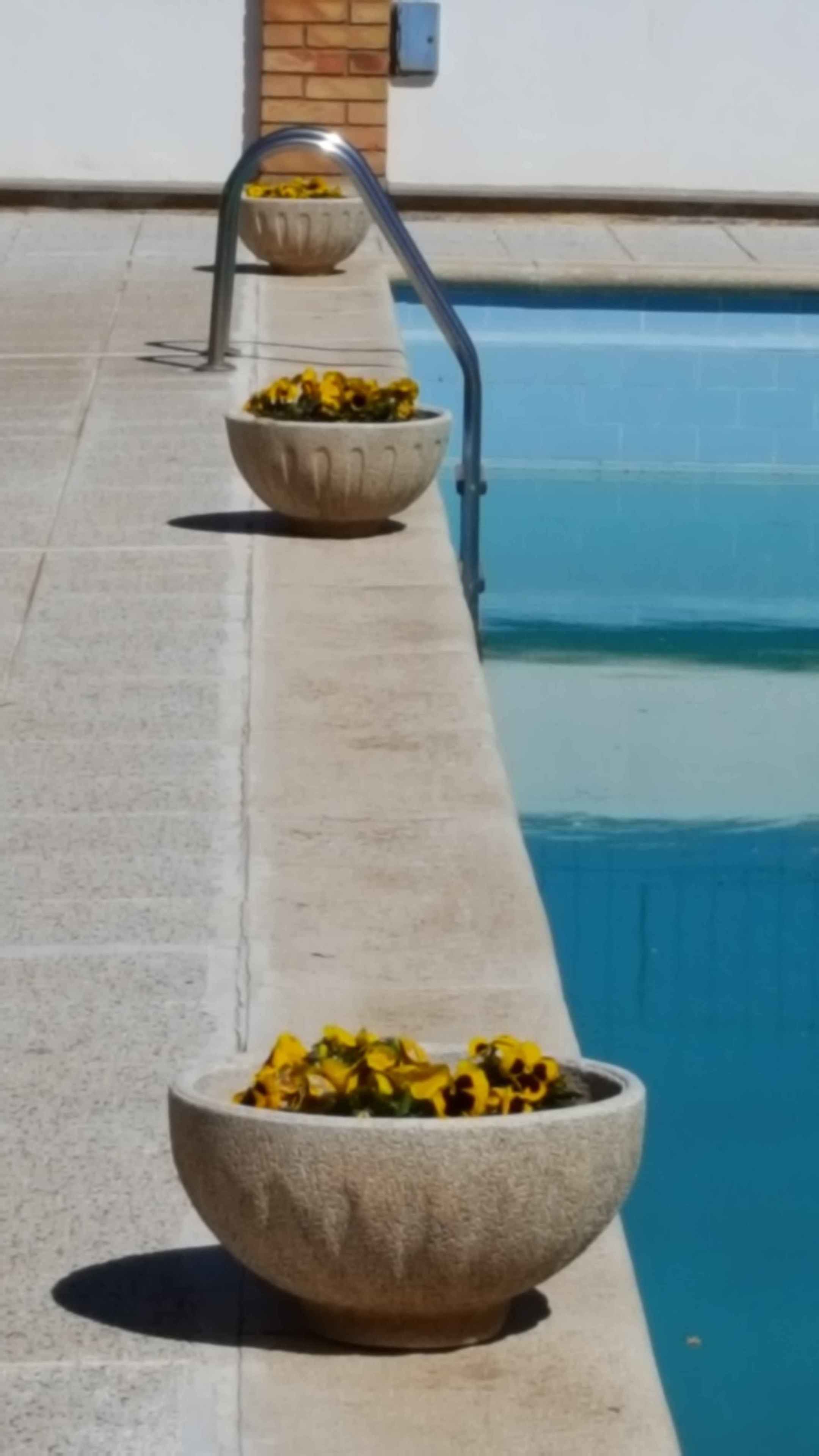 Foto - Hotel Segle XX