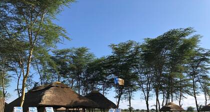 Africa Safari Lake Manyara