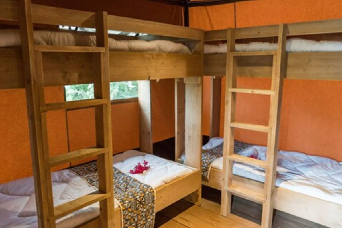 Luxury Room, Berbilang Katil, Non Smoking, Garden View