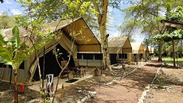 Safari Tent Comfort 1-3 pax