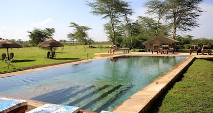 Africa Safari Lake Manyara