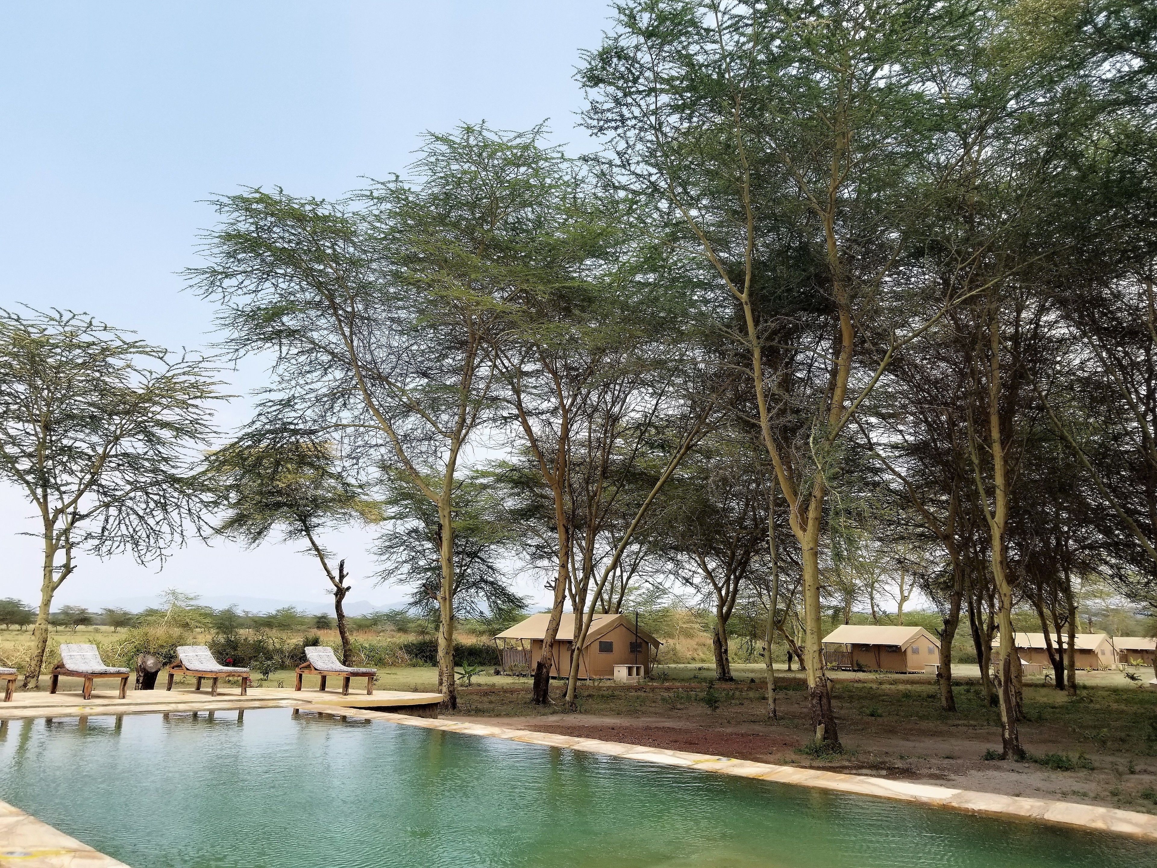 A pool area with lounge chairs and a small building in the background.