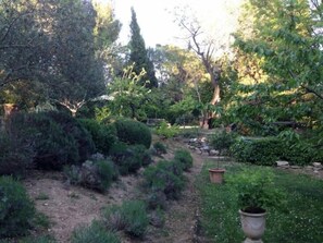 Garden - Villa Roumanille (Aix-en-Provence)