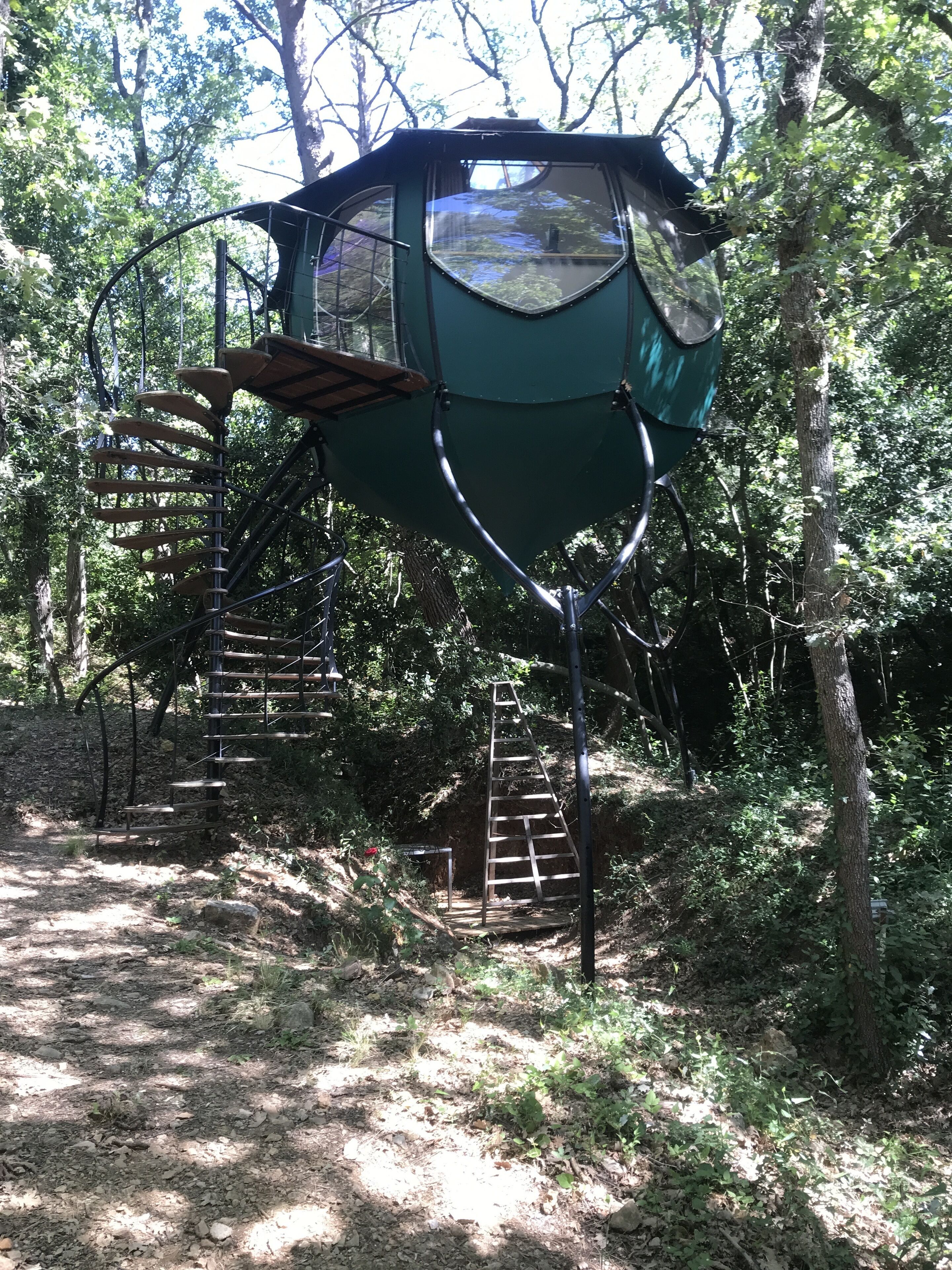 A treehouse with a ladder and a rope bridge.