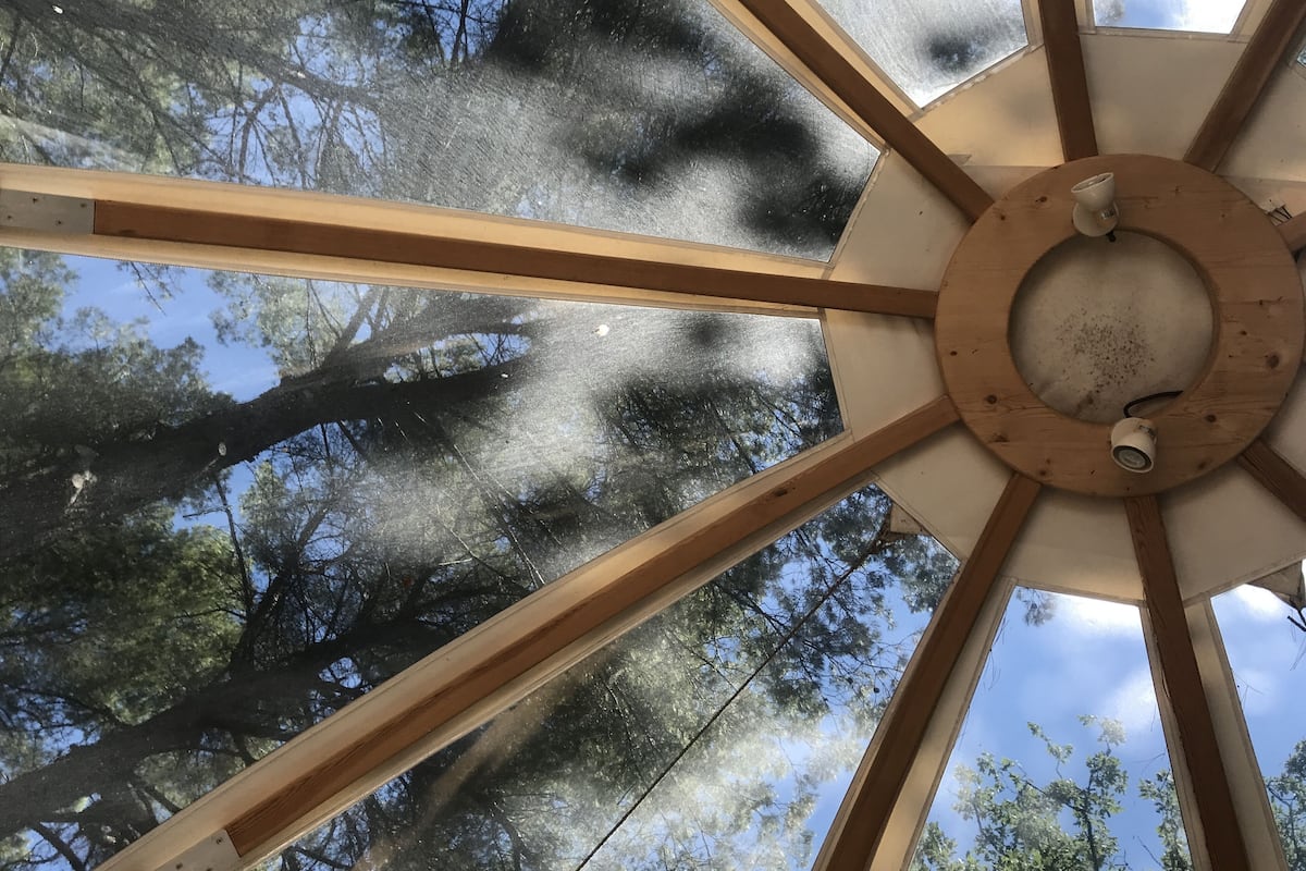 Una habitación con un tragaluz grande, vigas de madera y vistas a árboles.