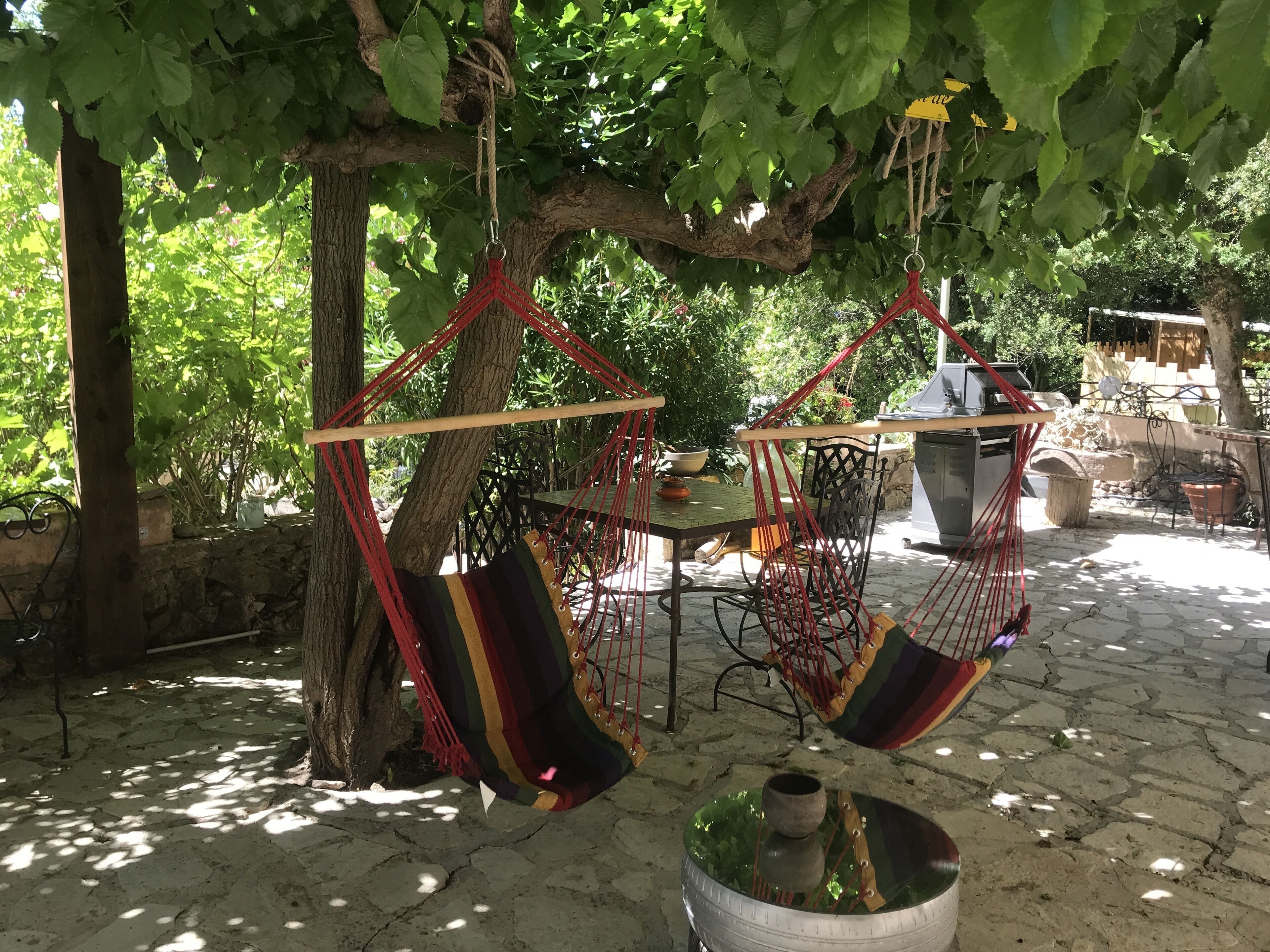 A tree with two hammocks hanging from it, a table with chairs, and a stone-paved area.