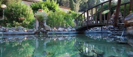 A clear pool with a wooden bridge, surrounded by rocks and greenery.