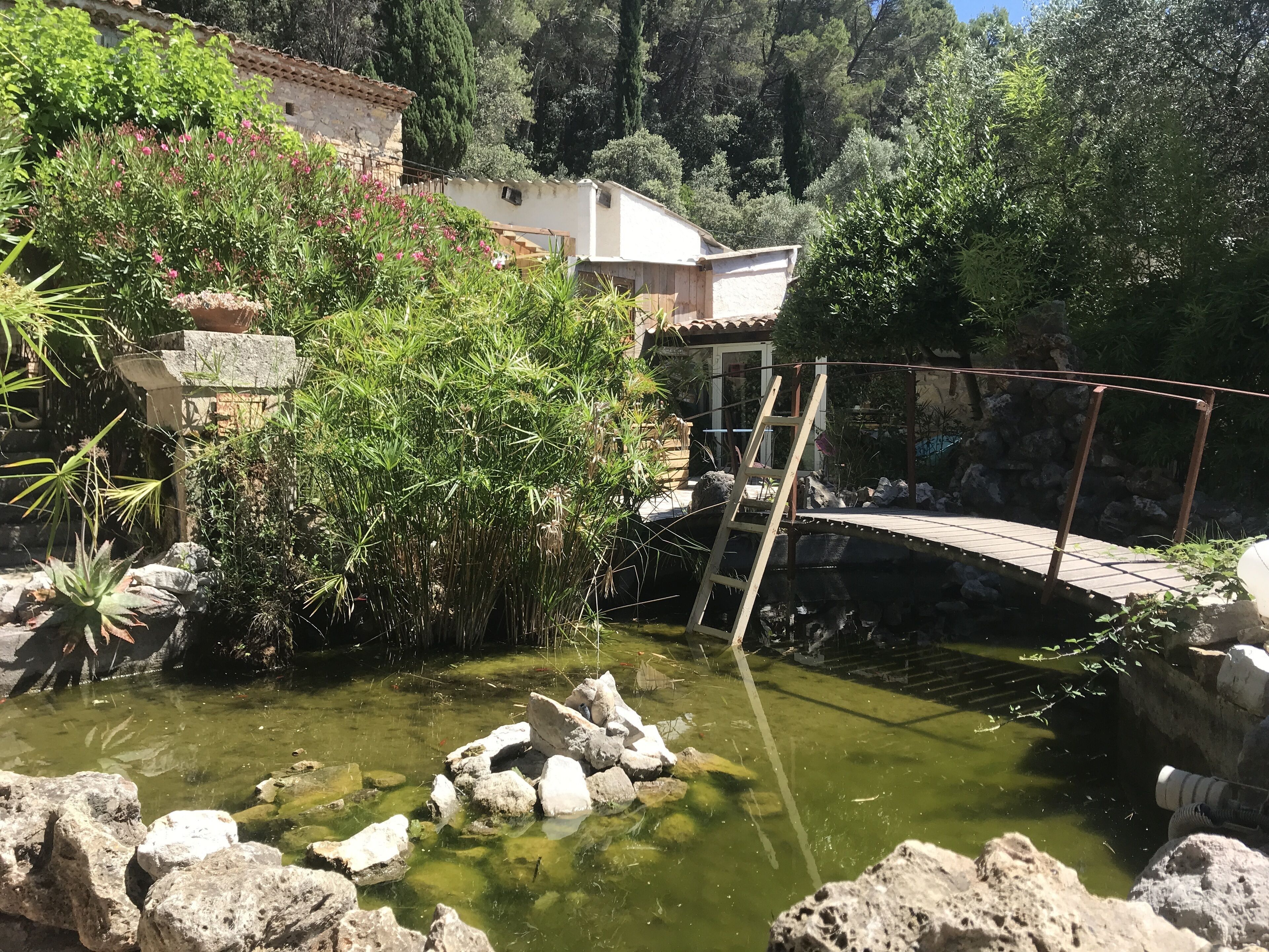 Ein Garten mit Teich, Steinen und einer Holzbrücke.
