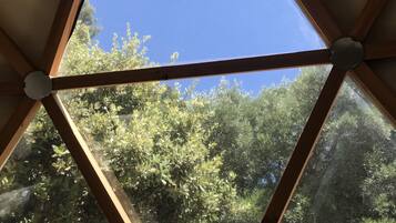 Bungalow | Uitzicht vanuit de kamer