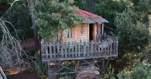 Perched Cabin with private spa | Terrace/patio