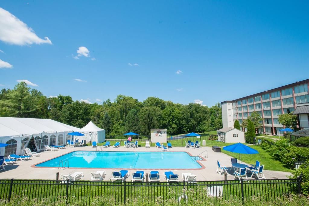 A swimming pool with lounge chairs and umbrellas, surrounded by greenery and a building.