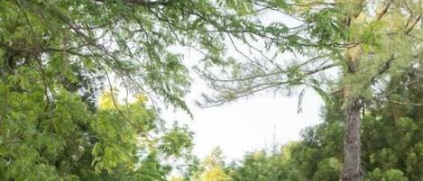 Un belvédère abritant une table et des chaises, entouré d’arbres et bordé d’un chemin en briques.
