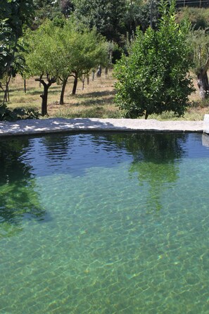 Outdoor pool, an infinity pool, sun loungers - Propriedade do Pires (Guimarães)