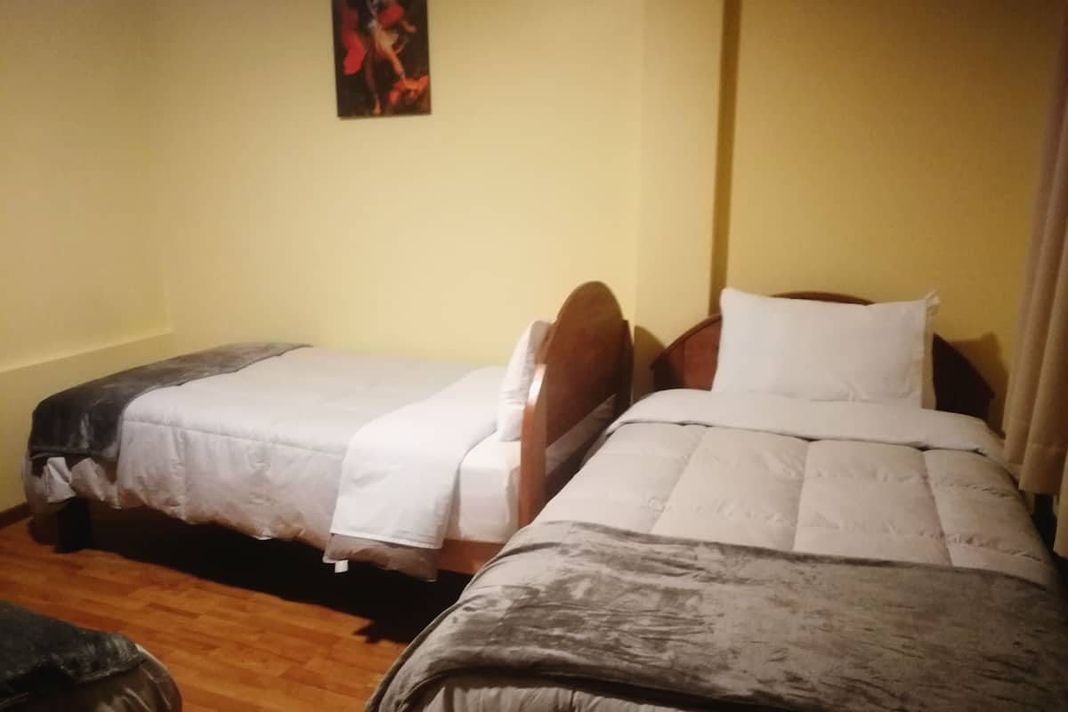 twin room | iron/ironing board, free wifi