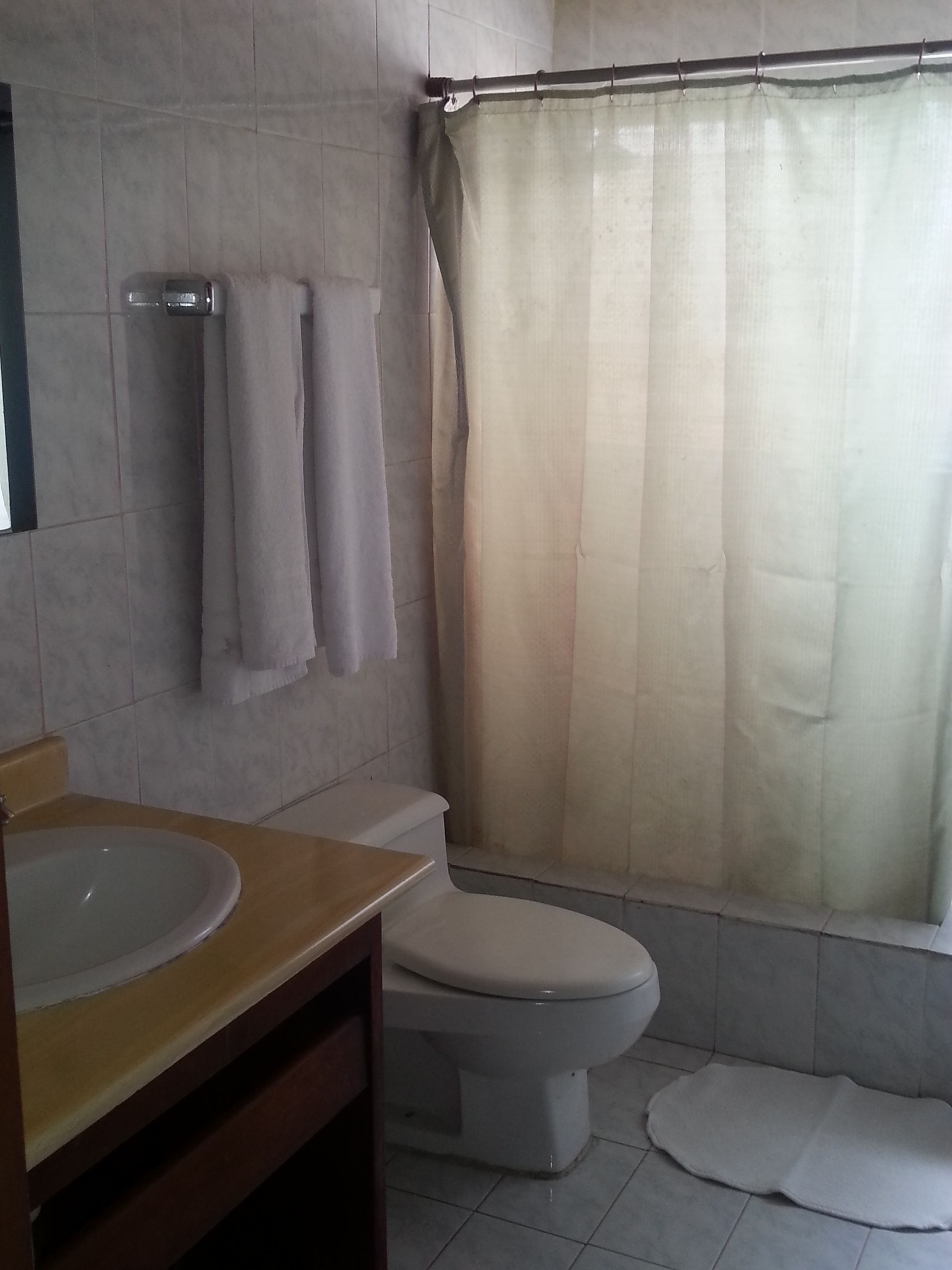 penthouse | bathroom | shower, hair dryer, towels