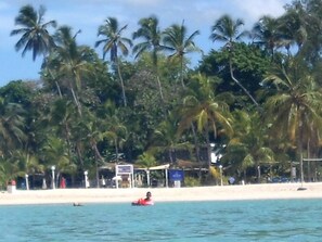Ein Strand mit Palmen und einer Person in einem roten Kajak.