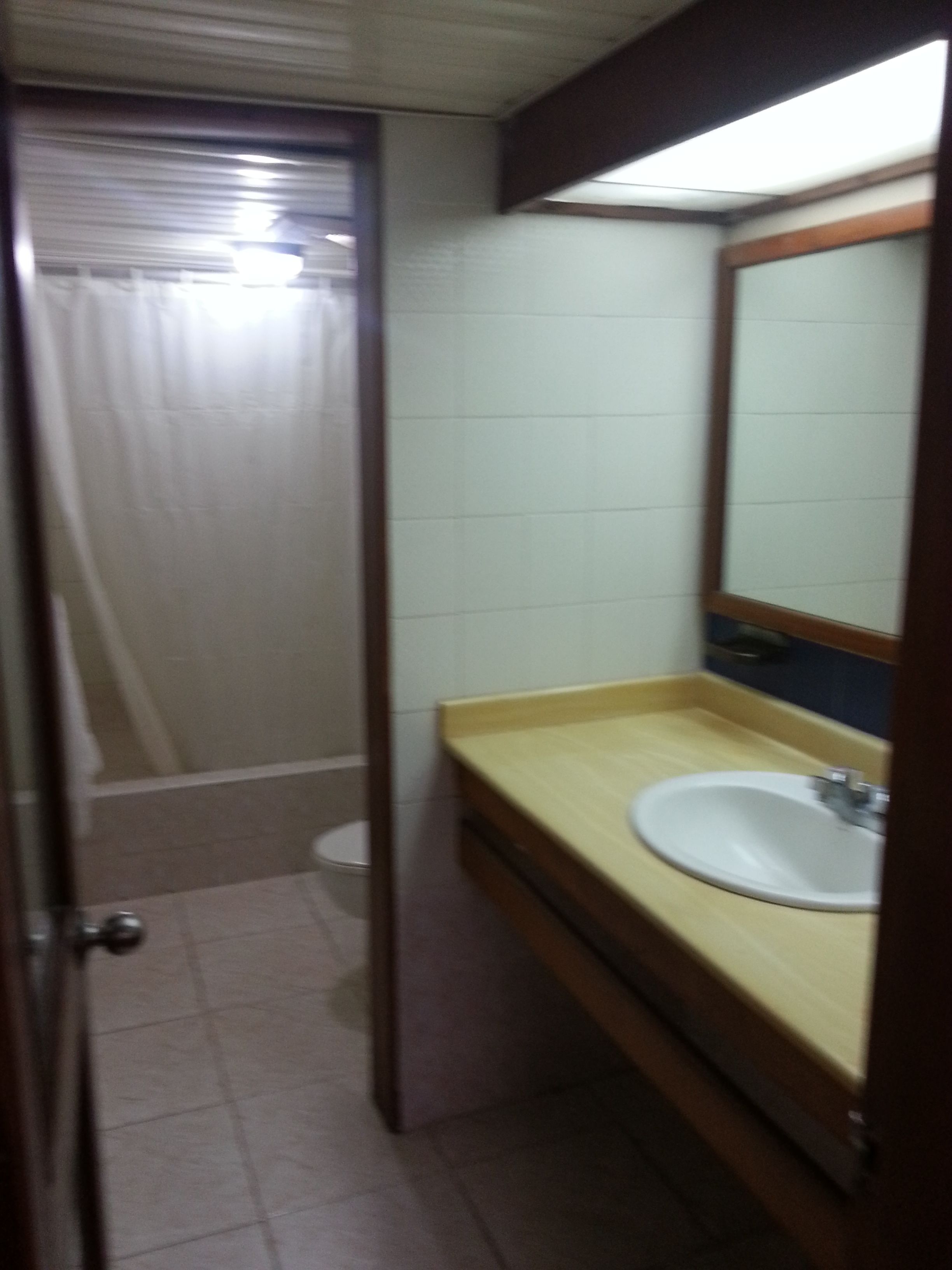 standard apartment | bathroom | shower, hair dryer, towels