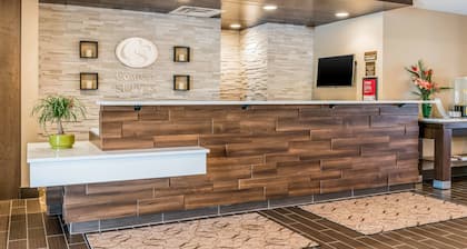 Comfort Suites Florence - Cincinnati South