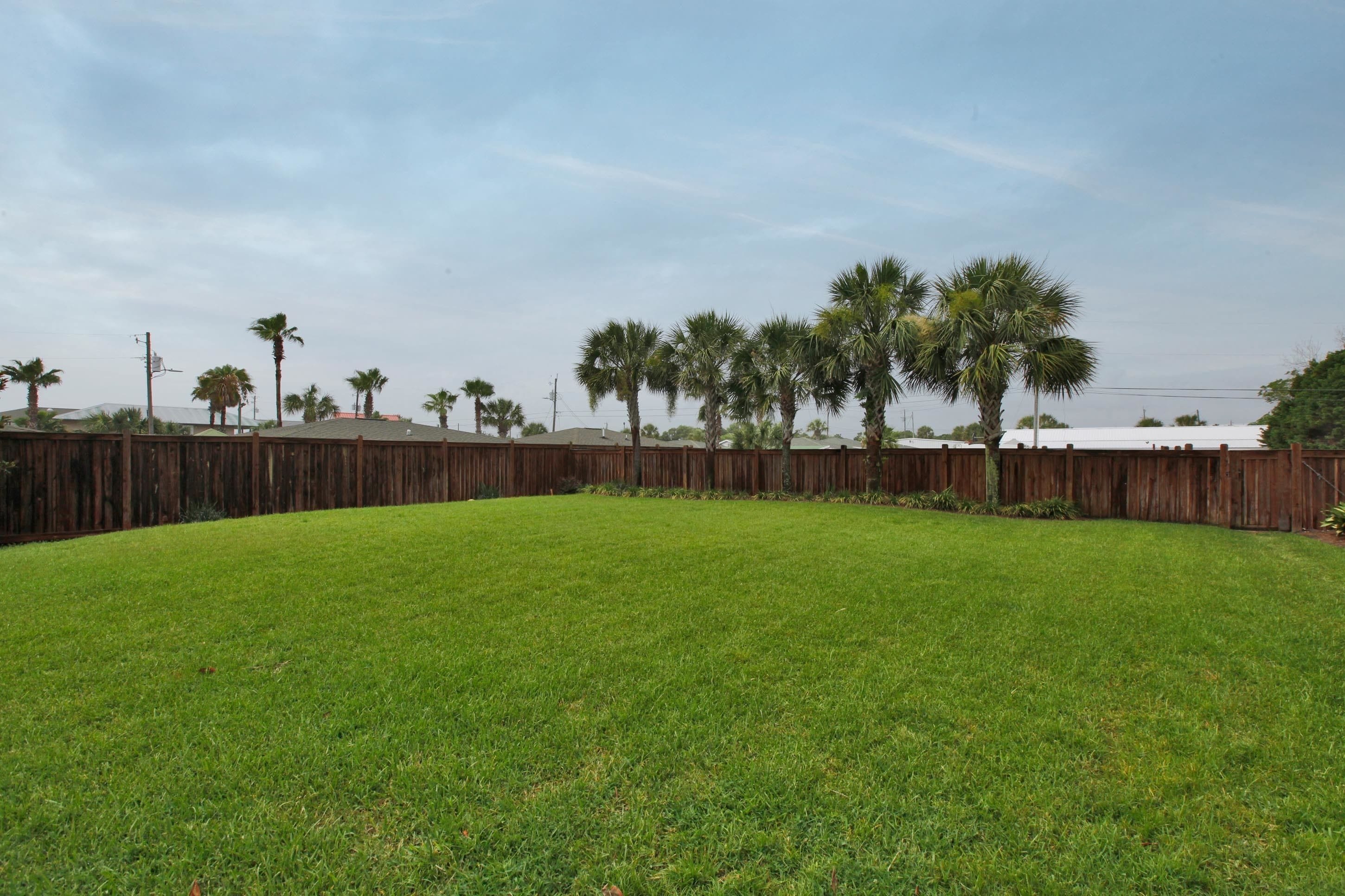A fenced backyard with a grassy lawn and several palm trees.