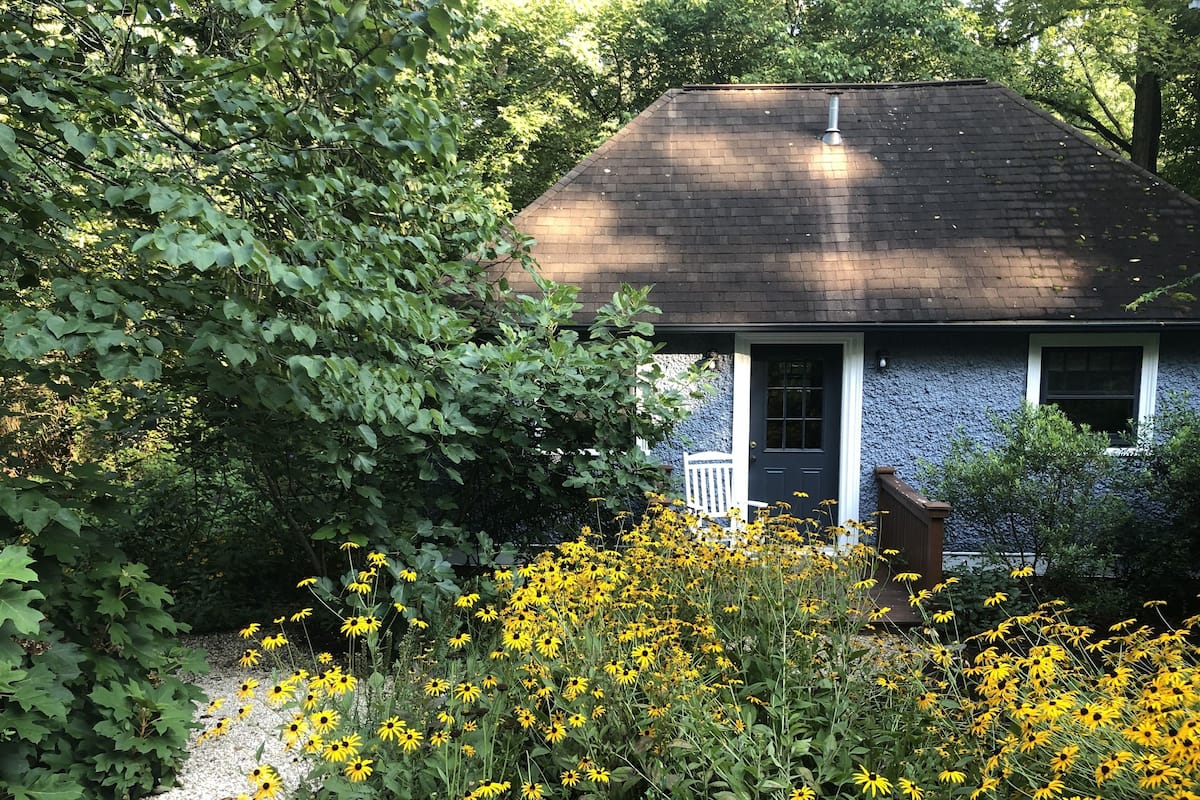 A house with a dark roof, surrounded by dense green foliage and yellow flowers.