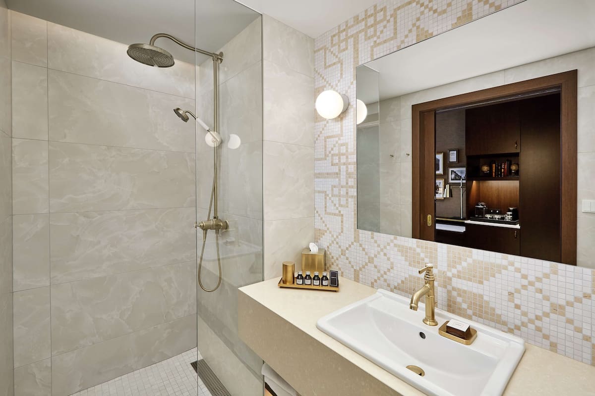 queen deluxe room | bathroom shower