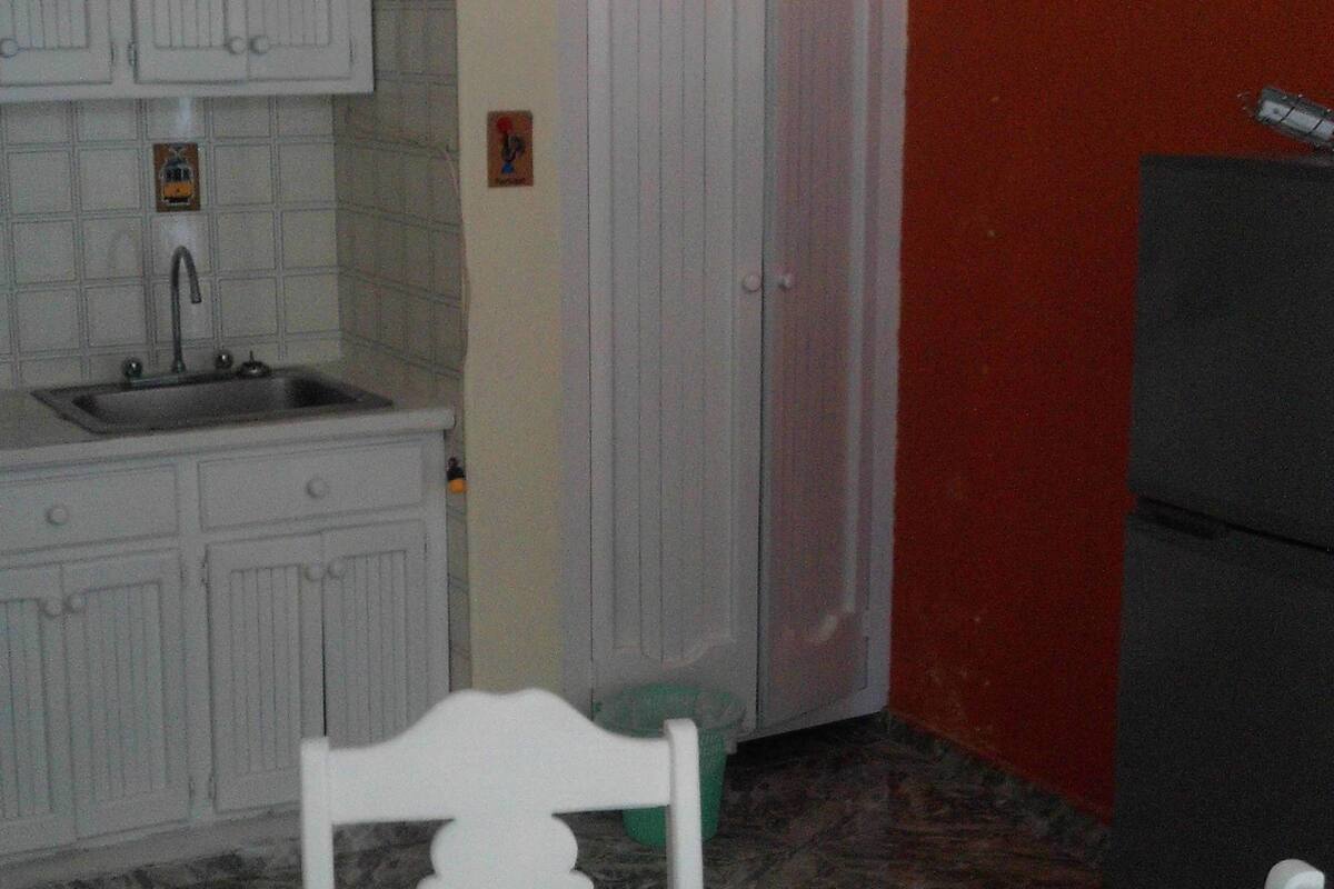 economy apartment, 1 bedroom, smoking, garden view | private kitchen | full-sized fridge, microwave, stovetop, coffee/tea maker