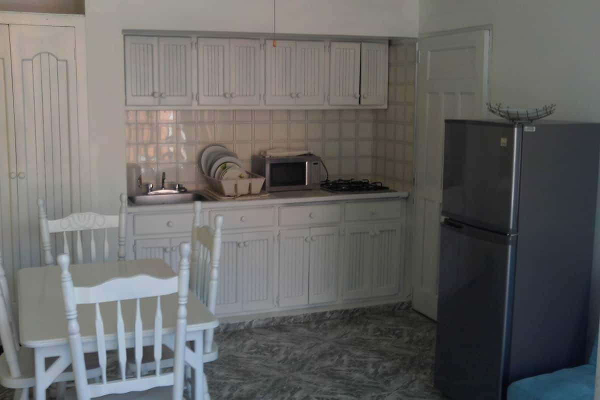comfort apartment, 1 double bed, smoking, garden view | private kitchen | full-sized fridge, microwave, stovetop, coffee/tea maker
