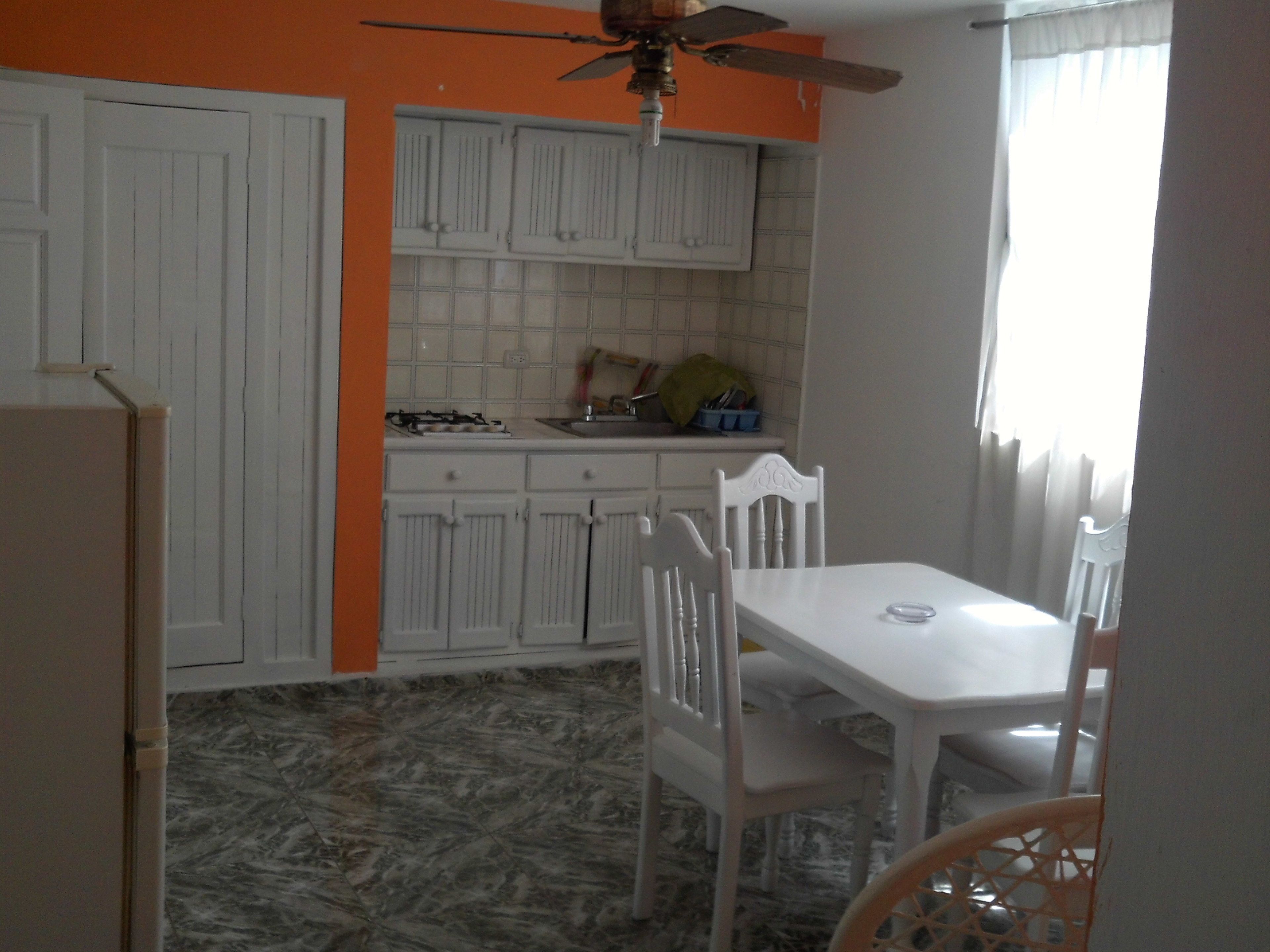 classic apartment, 1 double bed, kitchenette | private kitchen | full-sized fridge, microwave, stovetop, coffee/tea maker