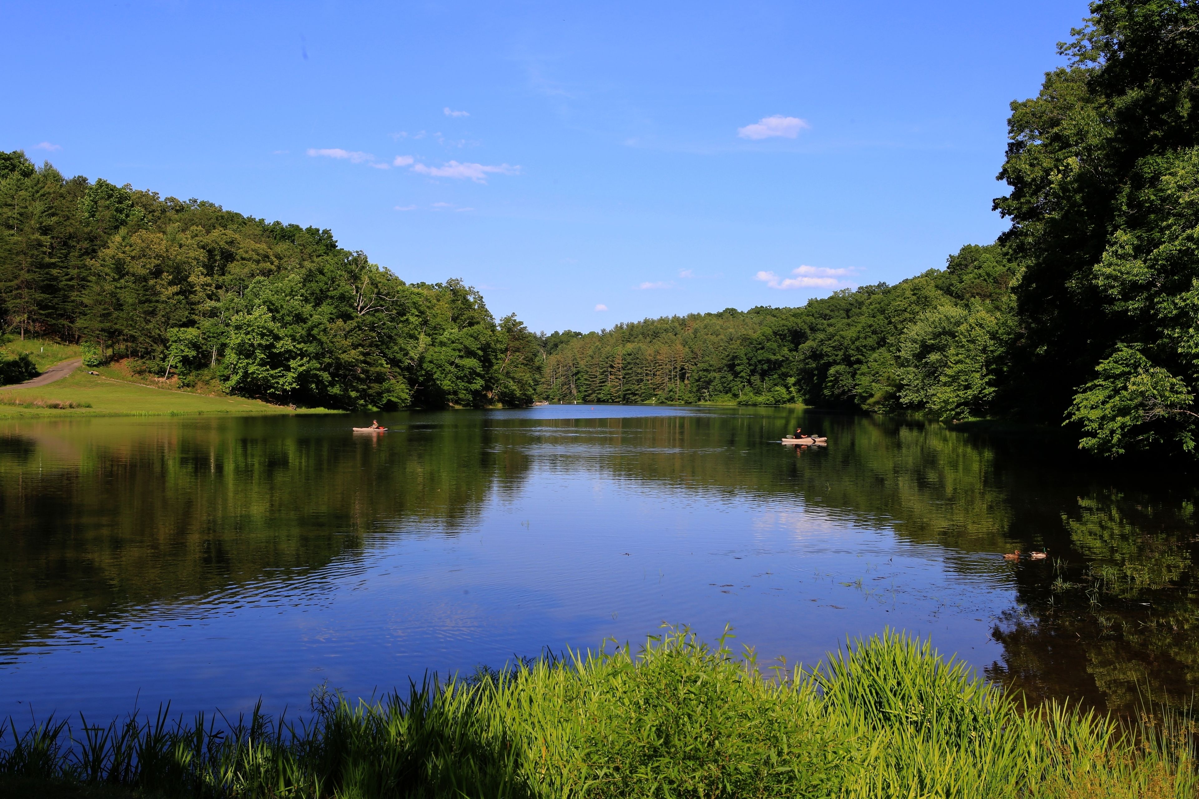 A serene lake surrounded by dense forest, calm water, and a clear sky.