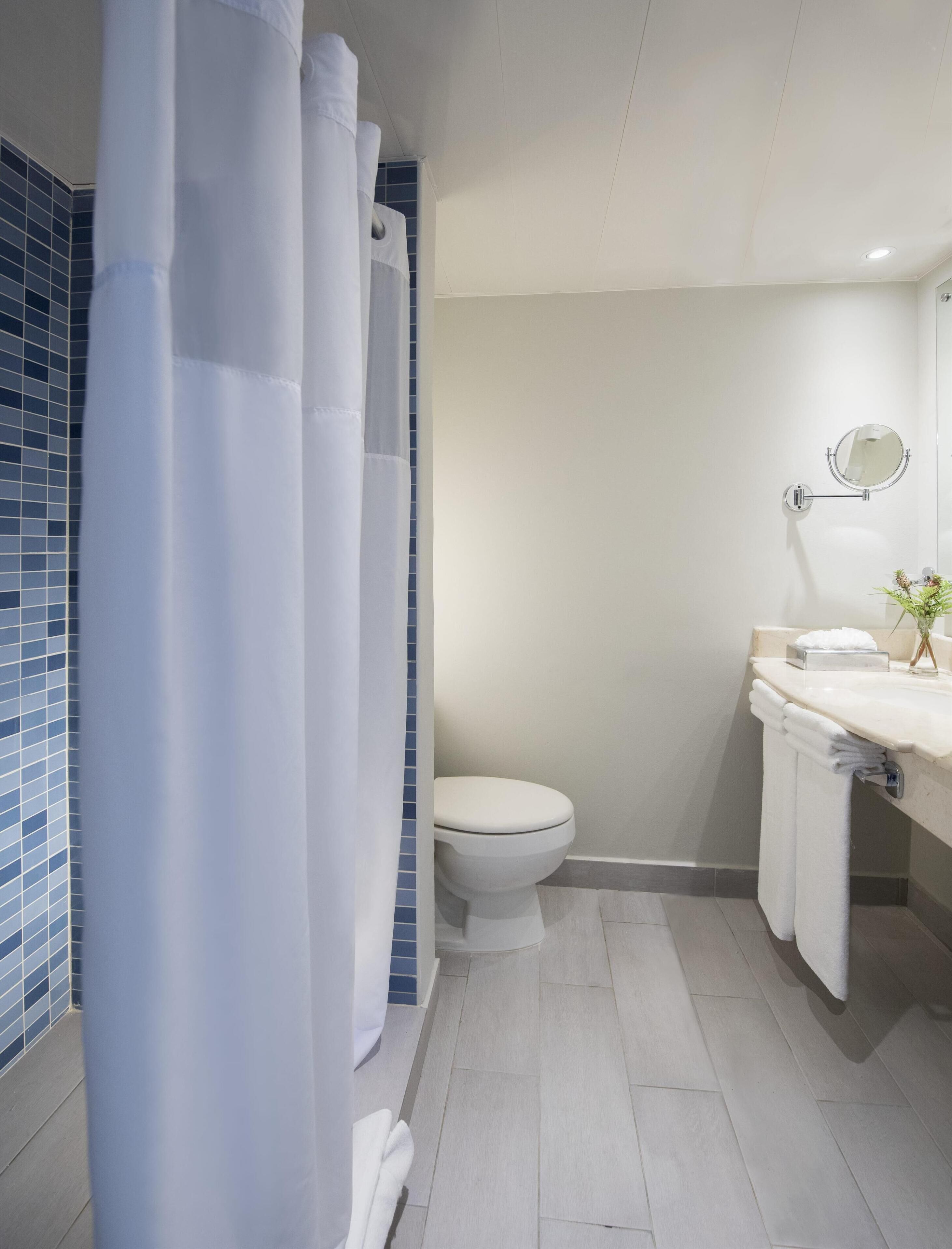Une salle de bain moderne équipée de toilettes, d’un lavabo avec un miroir et d’un rideau de douche.