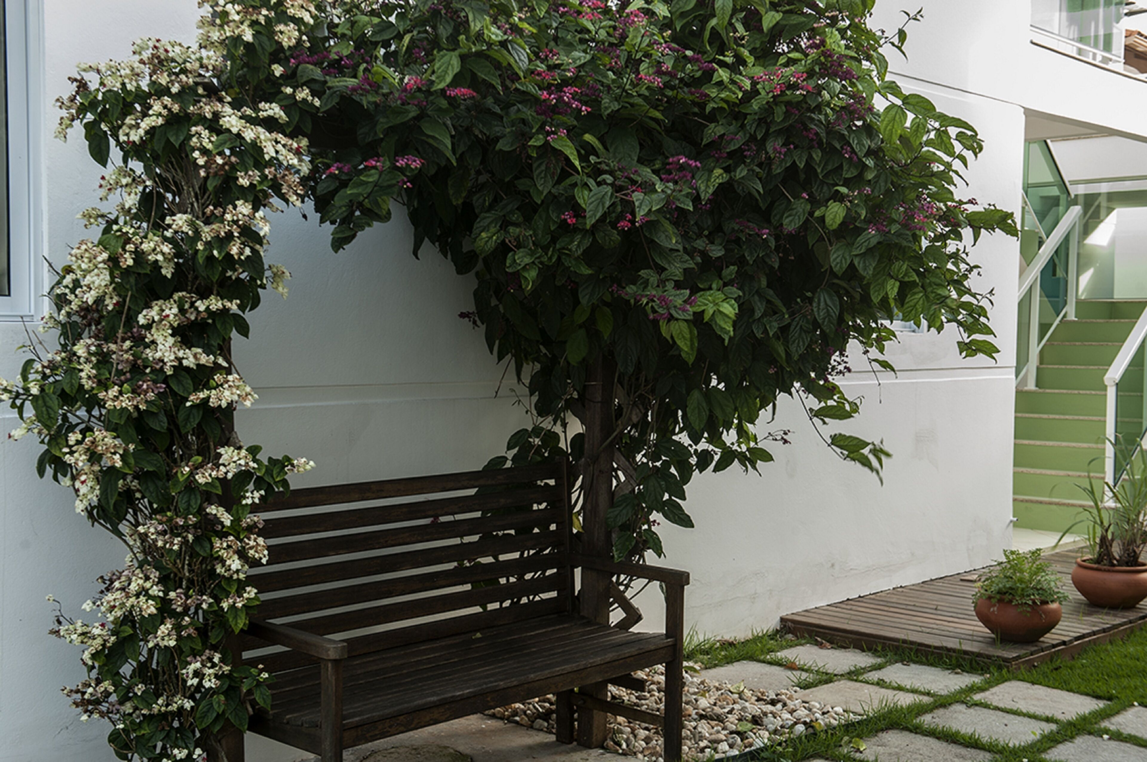 Photo - Encantada Floripa