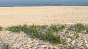 A sandy beach with sparse vegetation in the foreground and a calm sea in the background.