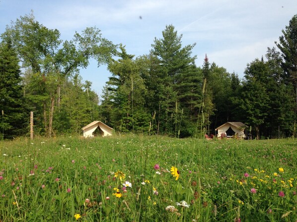 Enceinte de l’hébergement