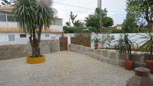 Un patio con suelo de arena, una palmera y varias plantas en macetas.