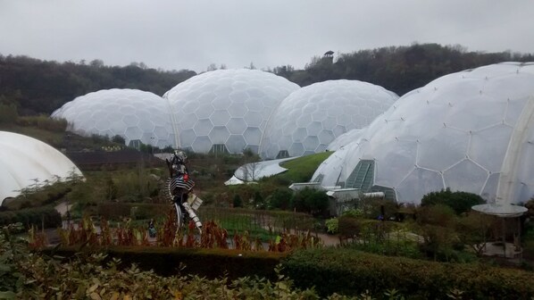 A series of large, white, dome-shaped structures with a honeycomb pattern, surrounded by greenery and a small building with a green roof. - Family-friendly, centrally placed for all parts of Devon, unspoilt countryside (Highampton)