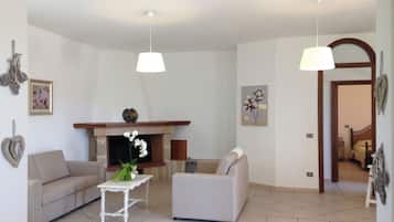 Smart TV, fireplace, books
