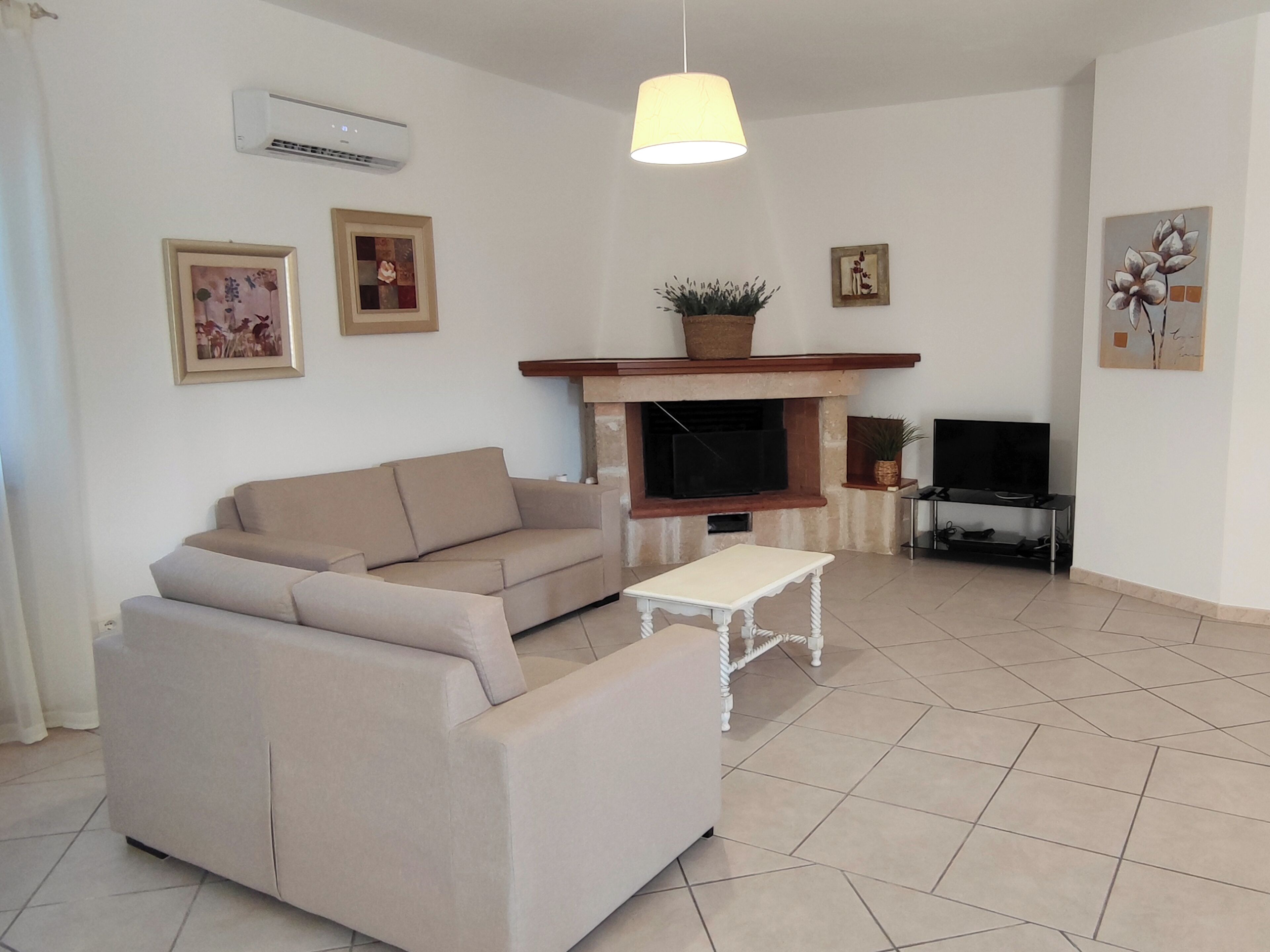 A living room with a sofa, a TV, a fireplace, and a ceiling light.