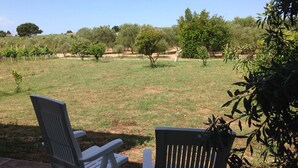Two chairs facing a grassy field with trees and a clear sky. - Residenza I Filari: a villa surrounded by greenery. (Alghero)